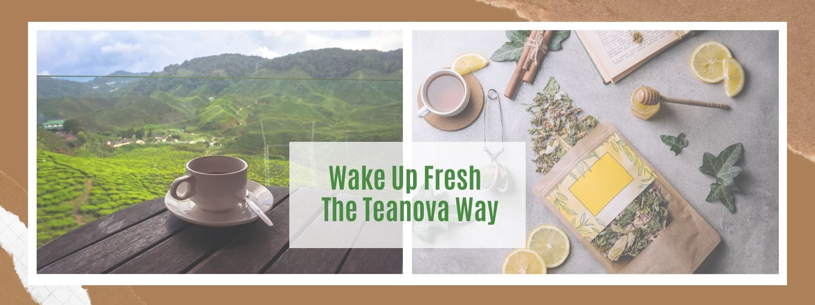 wake up fresh — the teanova way. (11)