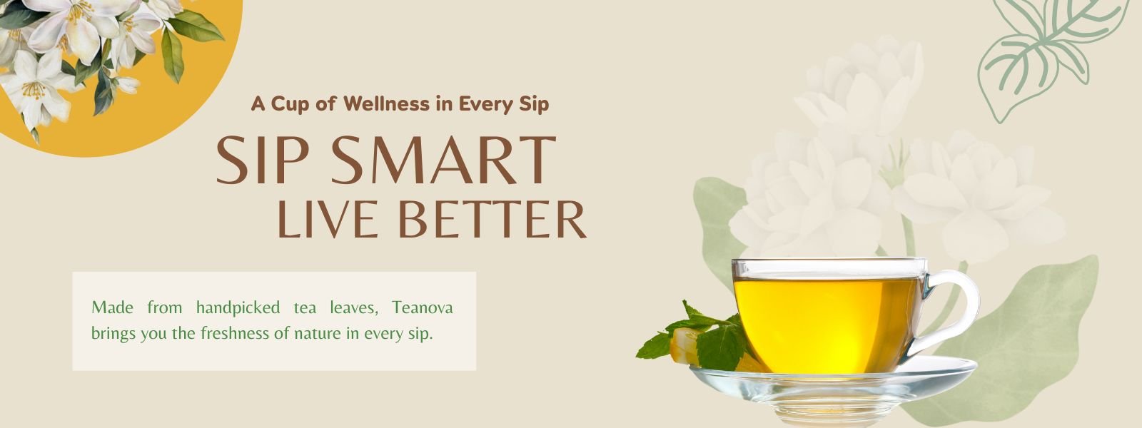 wake up fresh — the teanova way. (15)